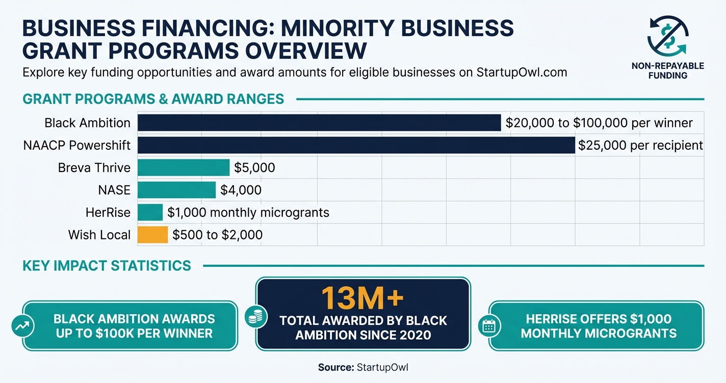 Overview infographic showing minority business grant amounts ranging from 500 to 100000 dollars